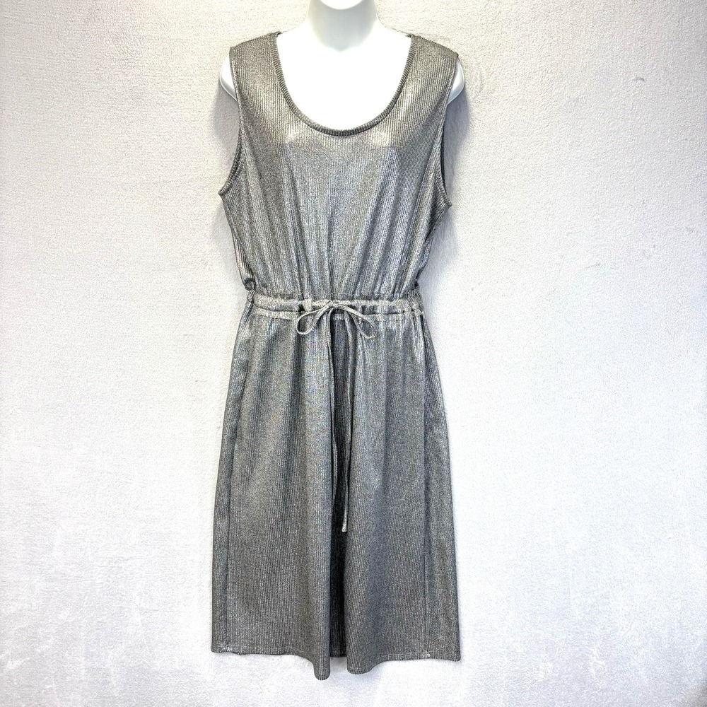 Anthropologie Dolan Left Coast Collection Metallic Dress Large Silver Midi